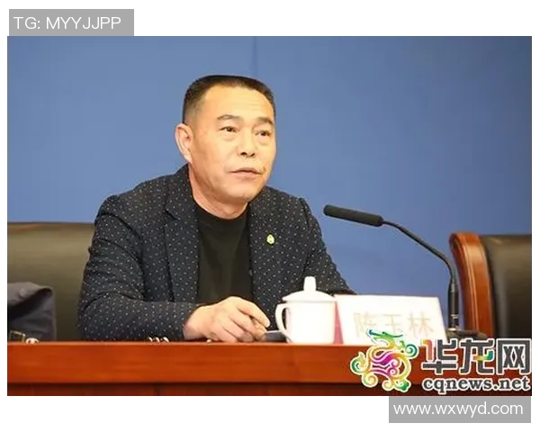 对话杨敏：回顾排球生涯的辉煌与挑战分享